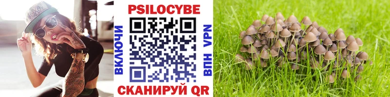 Псилоцибиновые грибы Cubensis Семикаракорск